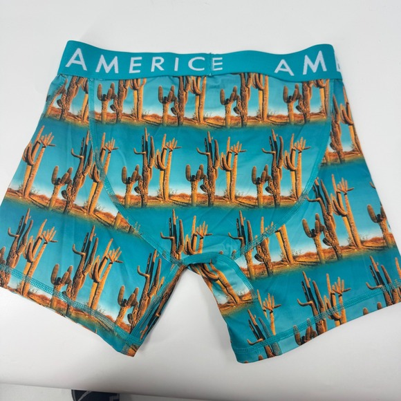 American Eagle Flex Mens Boxer Briefs S Desert Cactus Print Turquoise Blue - Picture 3 of 5